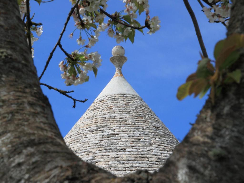 Pietraluce Guest House Alberobello Eksteriør bilde